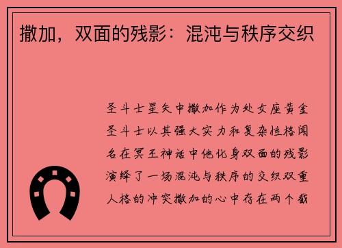 撒加，双面的残影：混沌与秩序交织